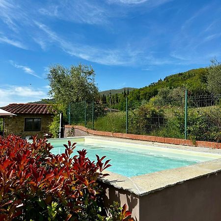 Il Villino Del Daino - Toscana Loro Ciuffenna Exterior foto